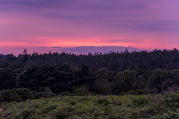 Sunset in the New Forest